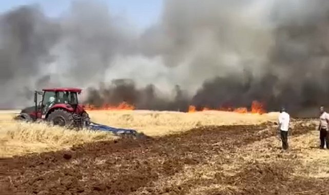 Mardin'de ekili arazide yangın, müdahale çalışmaları sürüyor
