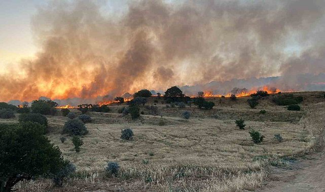 Mardin'de ormanlık alanda çıkan yangın söndürüldü