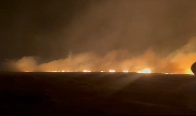 Mardin'de yaklaşık 300 dönüm ekili buğday küle döndü