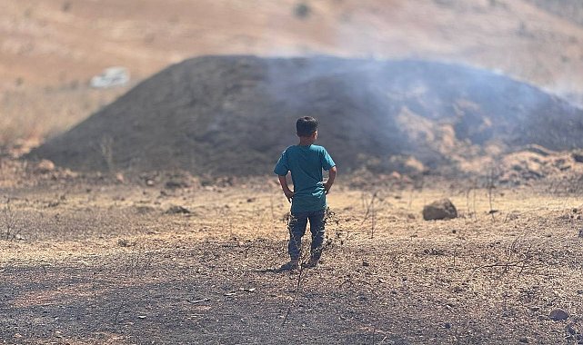 Mardin'de yangının ağır bilançosu havadan görüntülendi