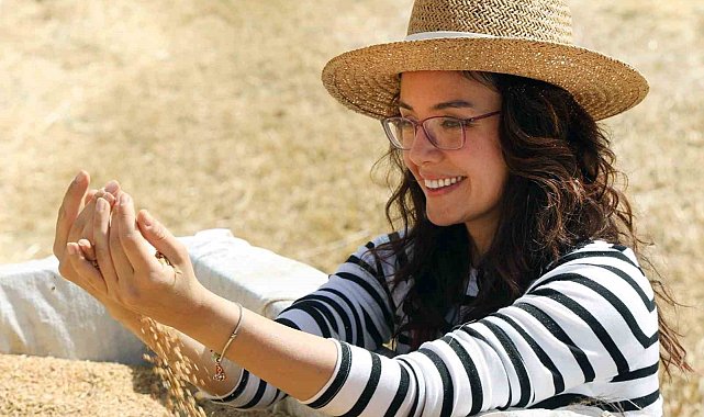 Menteşe'de 'Karakılçık Buğday' hasadı