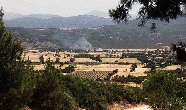 Menteşe'de anız yangını