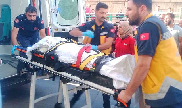 Mercimek biçme makinesi yüksek gerilim hattına temas etti: 2 ölü, 3 ağır yaralı