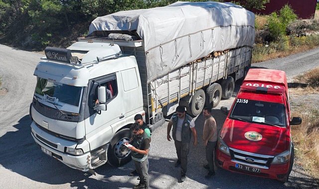 Mersin'de orman kaçakçılığına yönelik denetim yapıldı