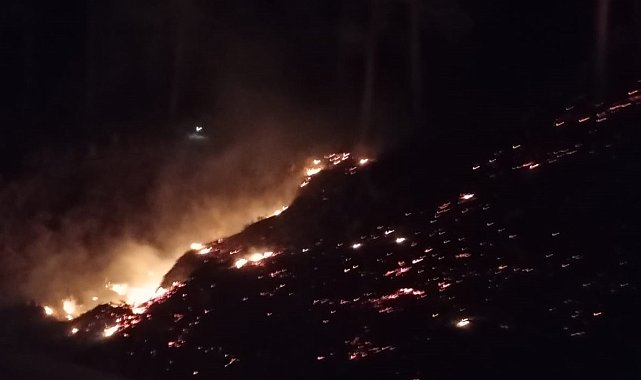 Mersin'de orman yangını: 10 dönüm alan zarar gördü