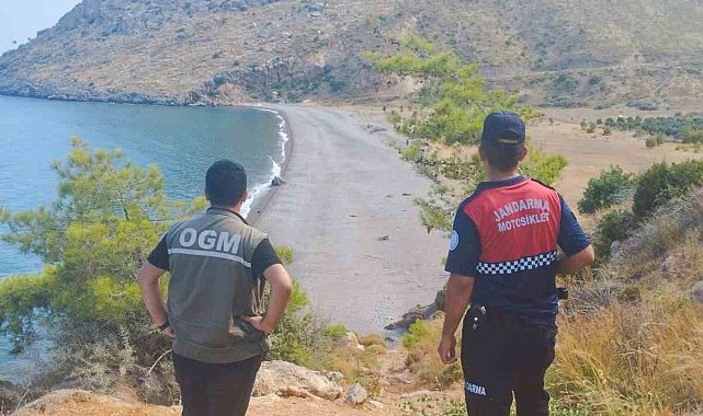 Mersin'de ormanlık alanlar denetleniyor