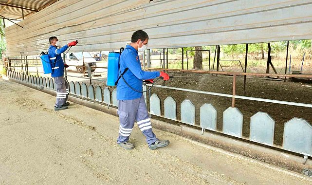Meyve ihracatının düşmanı Akdeniz Meyve Sineği ile topyekun mücadele