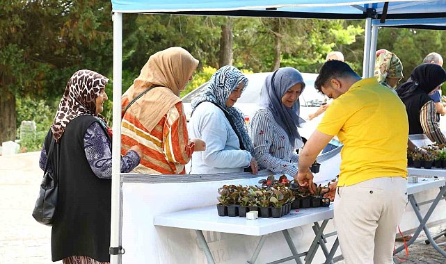 Mezarlık ziyaretleri için 20 bin çiçek dağıtıldı