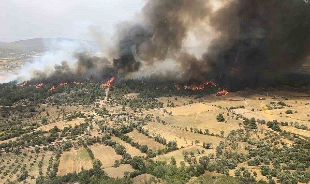 Milas yangını kontrol altında