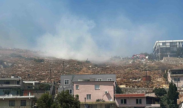 Milas'ta makilik yangını evleri tehdit etti