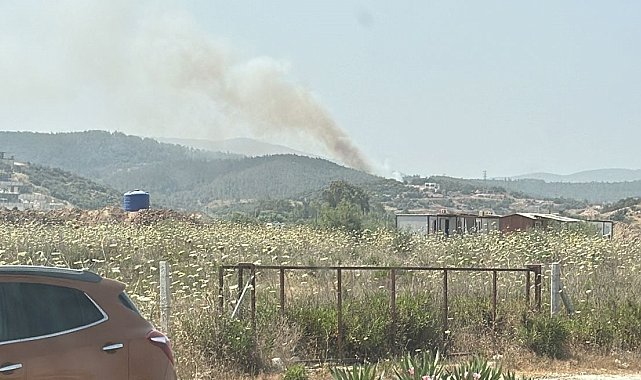 Milas'taki orman yangını kontrol altına alındı