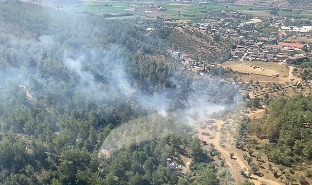 Milas'taki yangın büyümeden söndürüldü