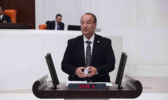 Milletvekili Akay, Ovacık'taki tarihi eser tahribatını TBMM'ye taşıdı