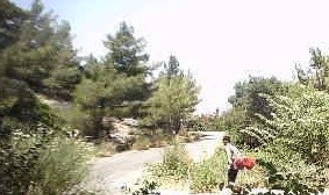 Milli parkta yurtdışına kaçma hazırlığı yaparken yakalandı