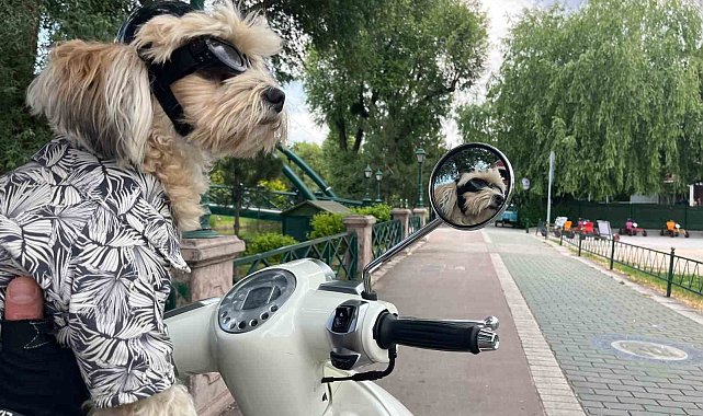 Motosiklet tutkunu 'Papi' herkesin ilgi odağı oldu