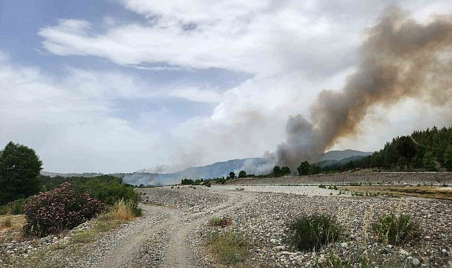 Muğla sınırında başlayan orman yangını Denizli'ye sıçradı