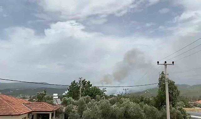 Muğla'da orman yangını başladı