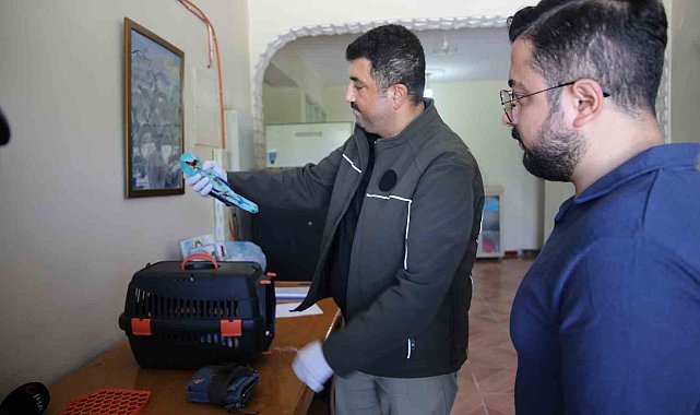 Muş'ta bitkin halde bulunan Hint gökkuzgunu kurtarıldı