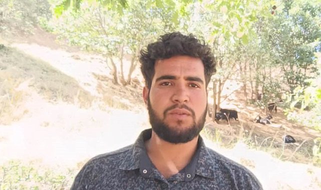 Muş'ta koyunları otlatırken kurt ile göz göze geldi