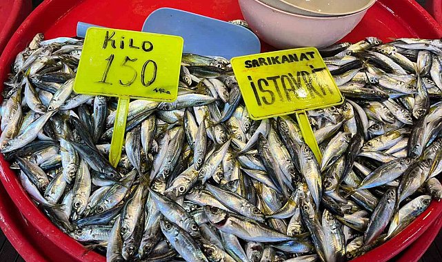 Olta istavrit tezgahlarda