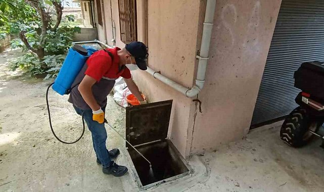 Ordu Büyükşehir, sivrisineklere karşı mücadele için sahada