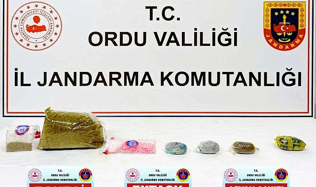 Ordu'da Jandarma KOM ekiplerinin 5 aylık faaliyeti açıklandı: 13 tutuklama