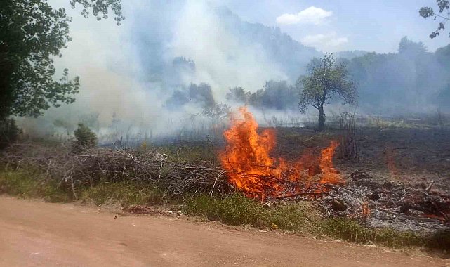 Ormanlık alanda çıkan yangın büyümeden söndürüldü