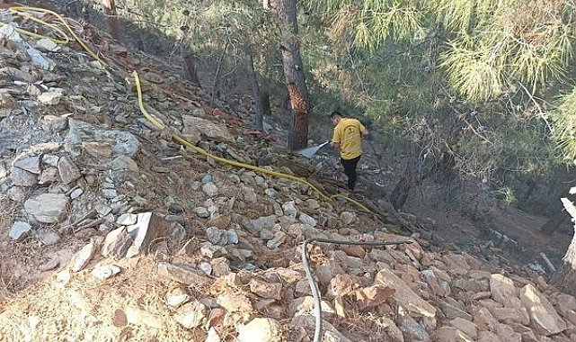 Ormanlık alandaki yangın büyümeden söndürüldü