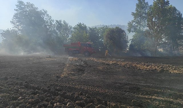 Osmaneli'de 20 dönümlük buğday tarlası yangında kül oldu
