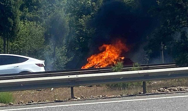 Otoyolda alev alev yandı: Otomobilden geriye demir yığını kaldı