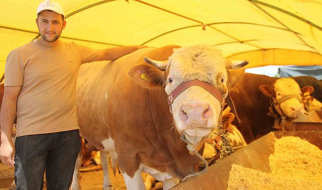 Pazarın şampiyonu alıcısını bekliyor