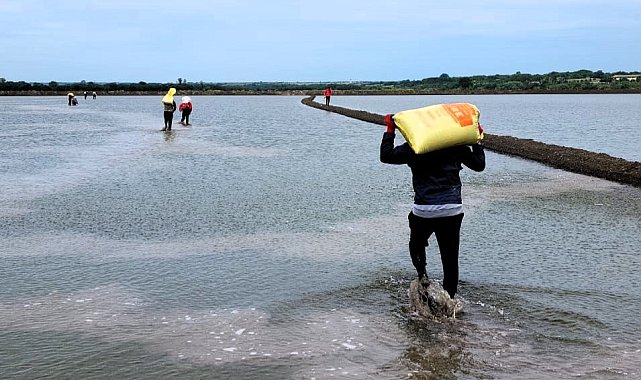 Pehlivanköy'de çeltik tohumları su ve toprakla buluştu