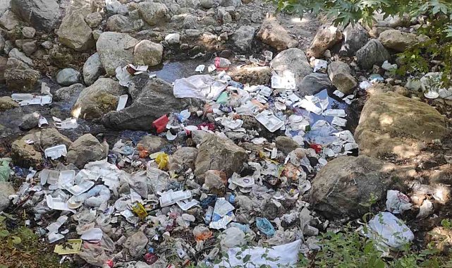 Piknikçiler yiyip içip, geride çöp yığınları bırakıp gitti
