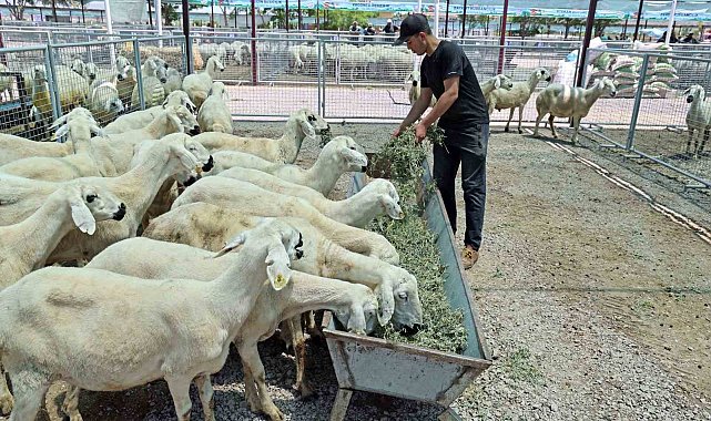 "Kayseri'de bir numara Talas Belediyesi"