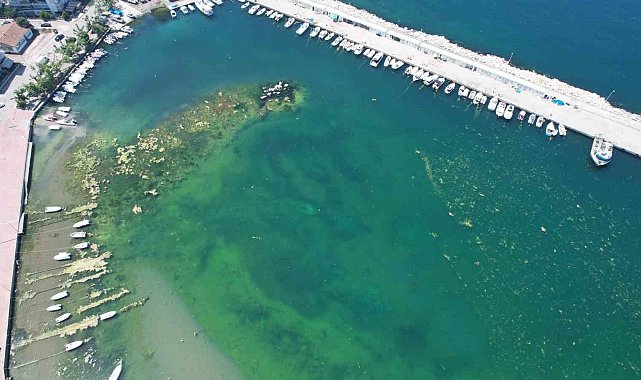 "Marmara'nın İncisi" Çınarcık'ta denizin içler acısı hali