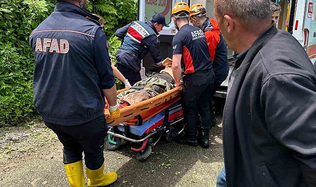 Rize'de kestiği ağacın altında kalan vatandaş yaralandı