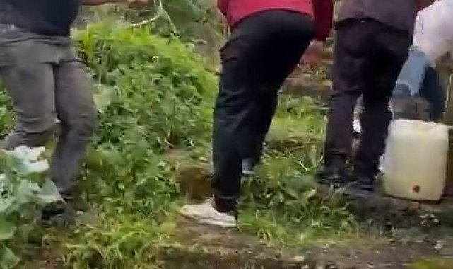 Rize'de vatandaş kurbanlıkla beraber duvardan aşağı düştü