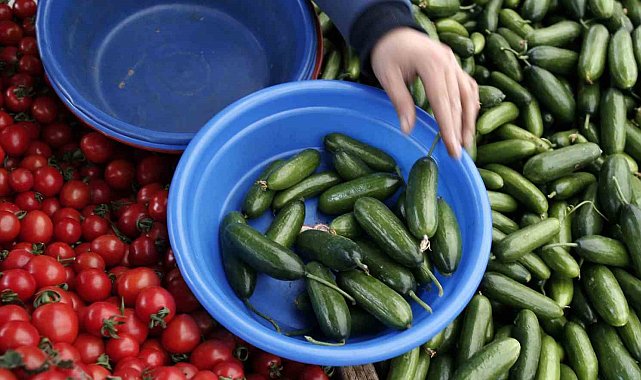 Sabri Ülker Vakfı, yaz aylarında gıda zehirlenmesine karşı uyardı