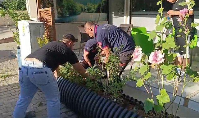 Saksının altına sıkışan 'Boncuk' için seferber oldular