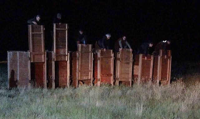 Salda Gölü çevresine bırakılan kızıl geyiklerden biri vatandaşlar tarafından görüntülendi