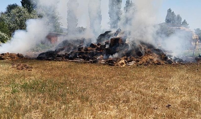 Saman yangını büyümeden söndürüldü