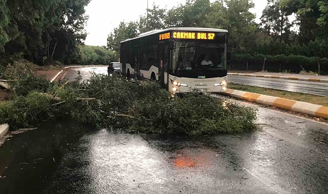 Şanlıurfa'da fırtınada ağaçlar devrildi, yollar göle döndü