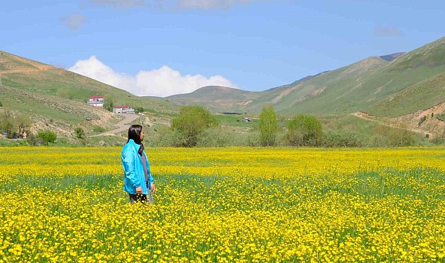 Sarıçiçek Köyü'nde 20 günlük doğa şöleni başladı