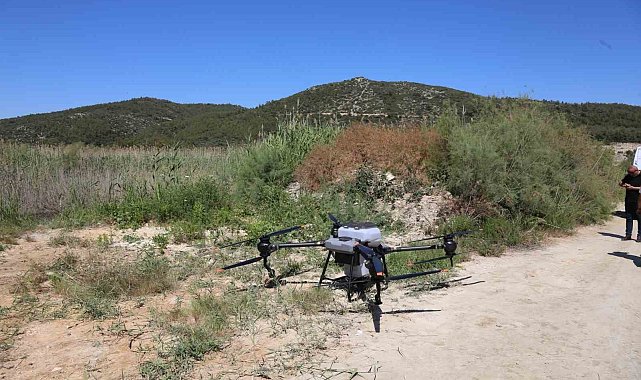 Selçuk'ta ilaçlama çalışması yapıldı