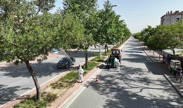 Selçuklu'da haşere ile mücadele sürüyor