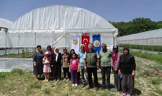 Seralardan ilk ürünler toplanmaya başladı