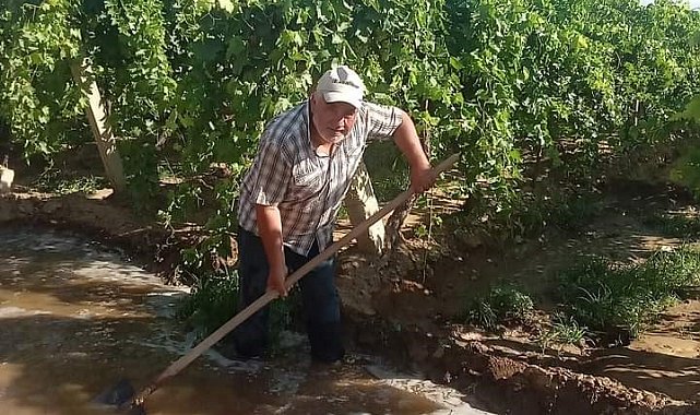 Sıcak havaya karşı üzüm bağlarına su takviyesi