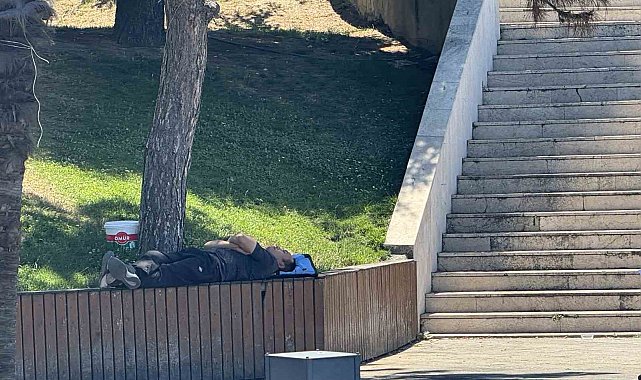 Sıcaktan bunalan gölgelik alanlara sığındı