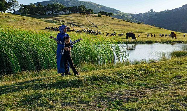 Sıcaktan bunalan Tokatlılar, doğal klimada serinliyor