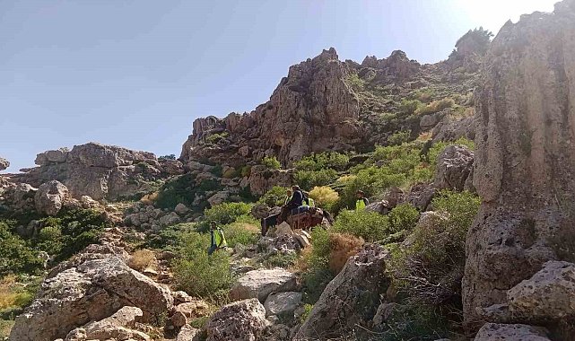 Siirt'te dağ başında rahatsızlanan çoban at sırtında ambulansa ulaştırıldı